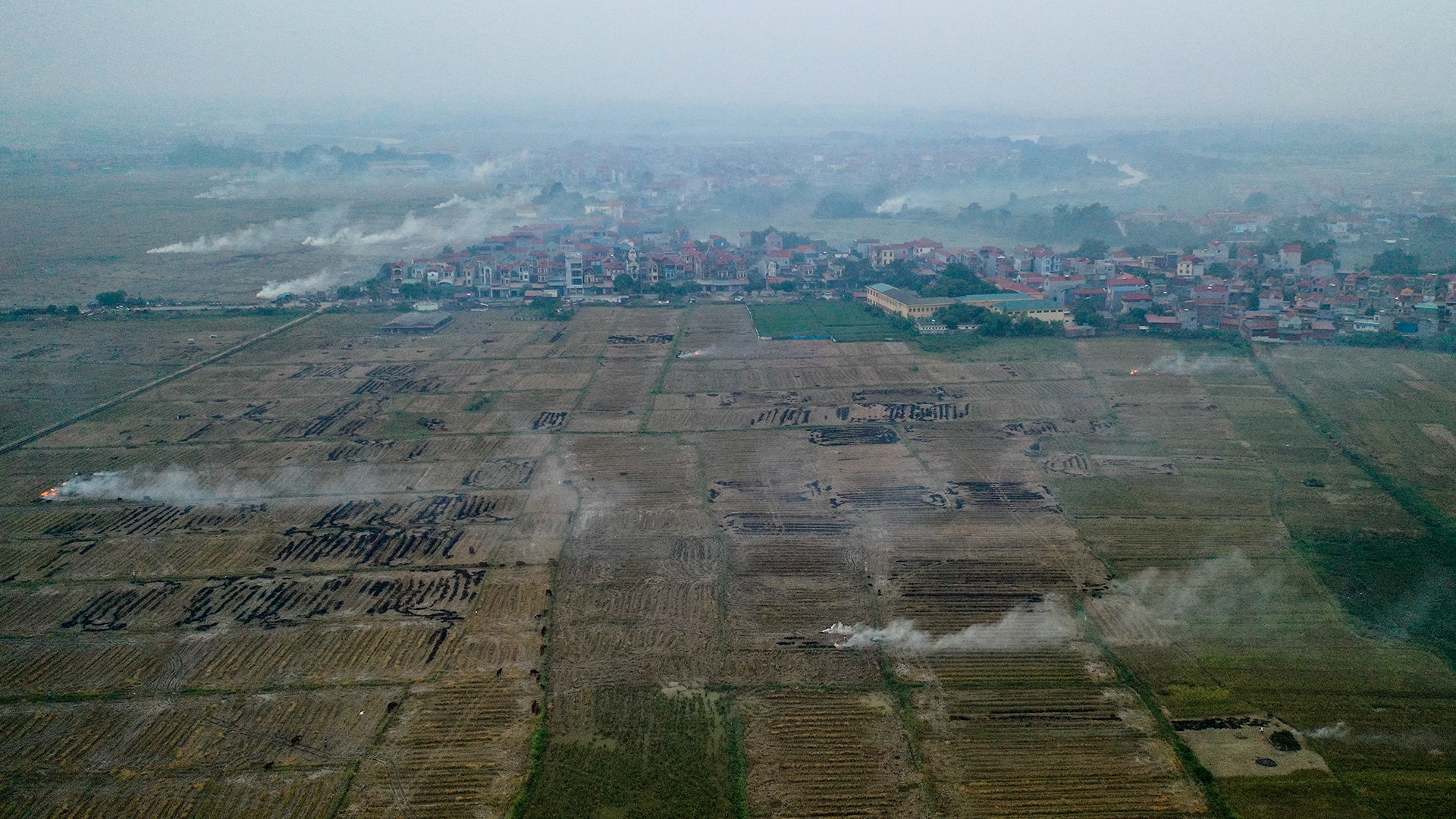dot rom ra o canh dong Ha Noi anh 3