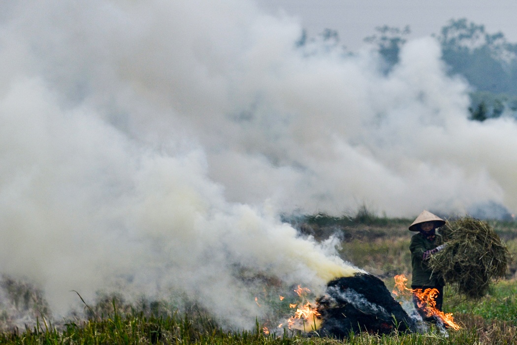 dot rom ra o canh dong Ha Noi anh 10