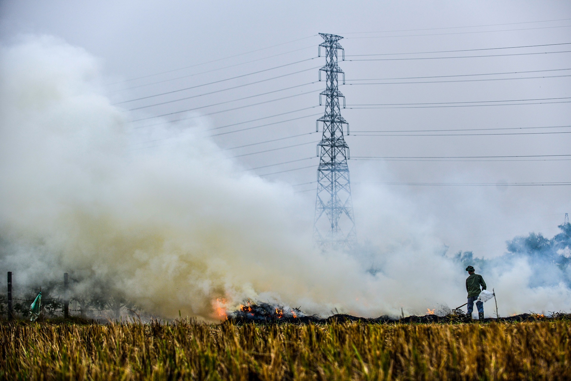 dot rom ra o canh dong Ha Noi anh 1