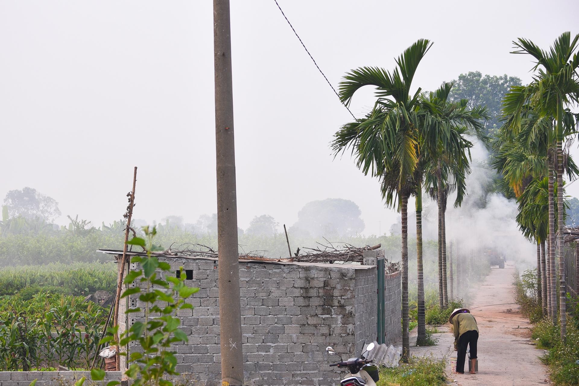 dot rom ra o canh dong Ha Noi anh 7