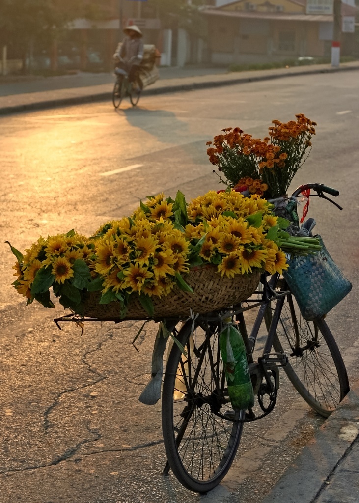 anh dep ve Ha Noi cua Le Bich anh 18