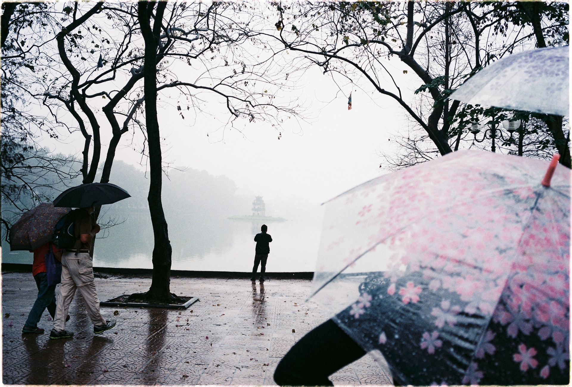 trien lam anh phim o Ha Noi anh 3