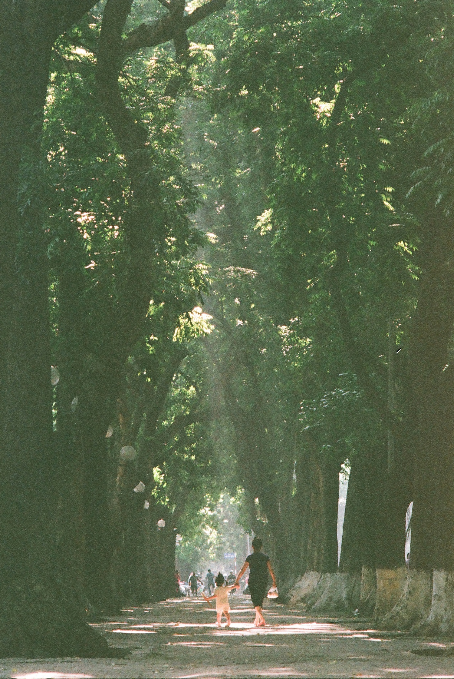 trien lam anh phim o Ha Noi anh 17