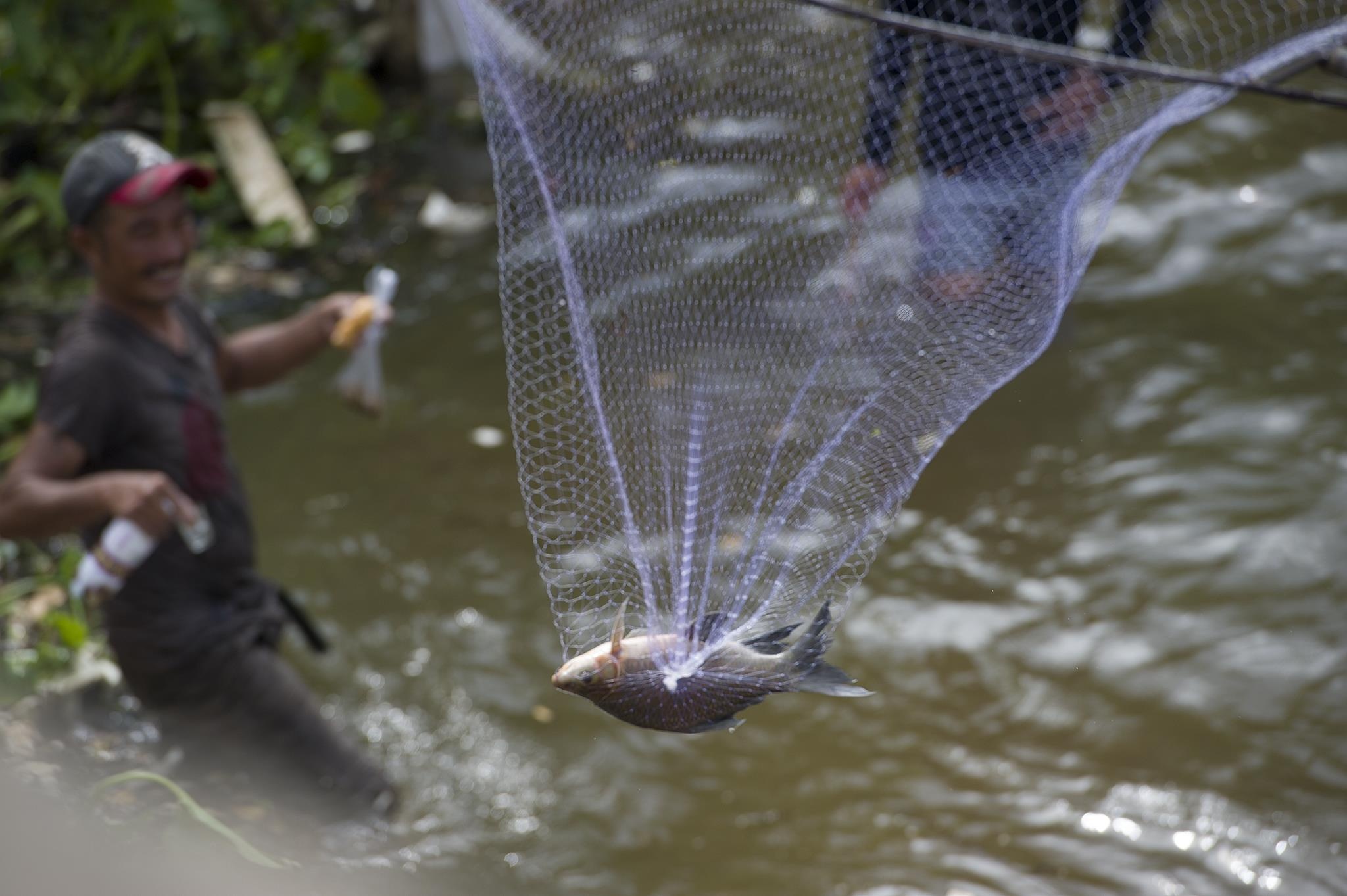 Xa dap tran lon nhat mien Tay, dan ha nguon thoa con khat lu hinh anh