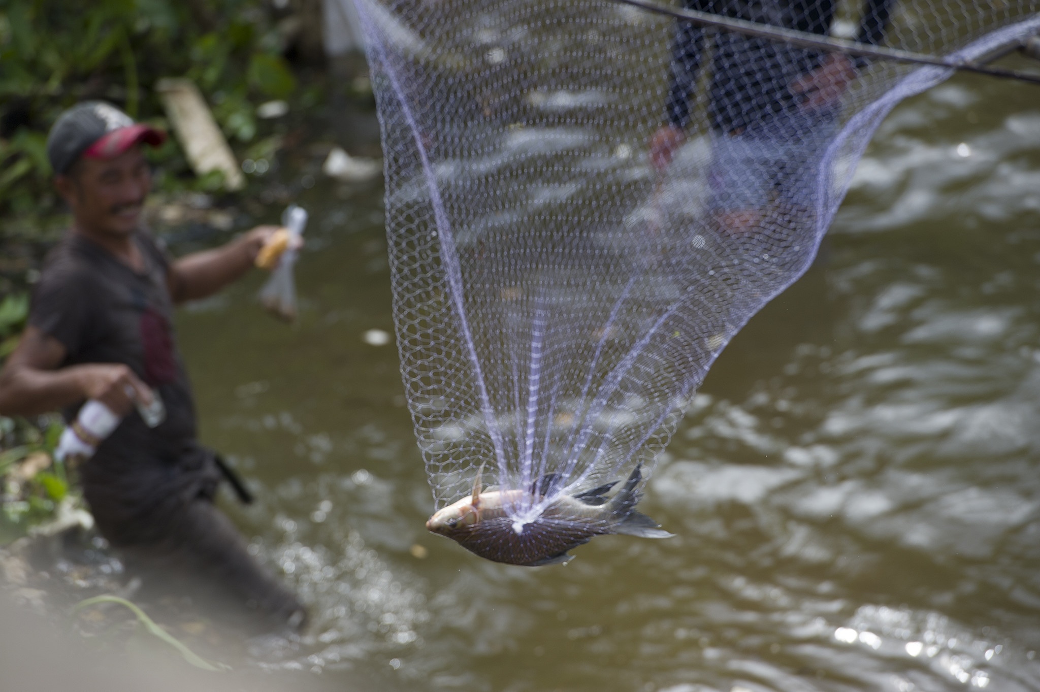 anh dep tren Zing.vn anh 6