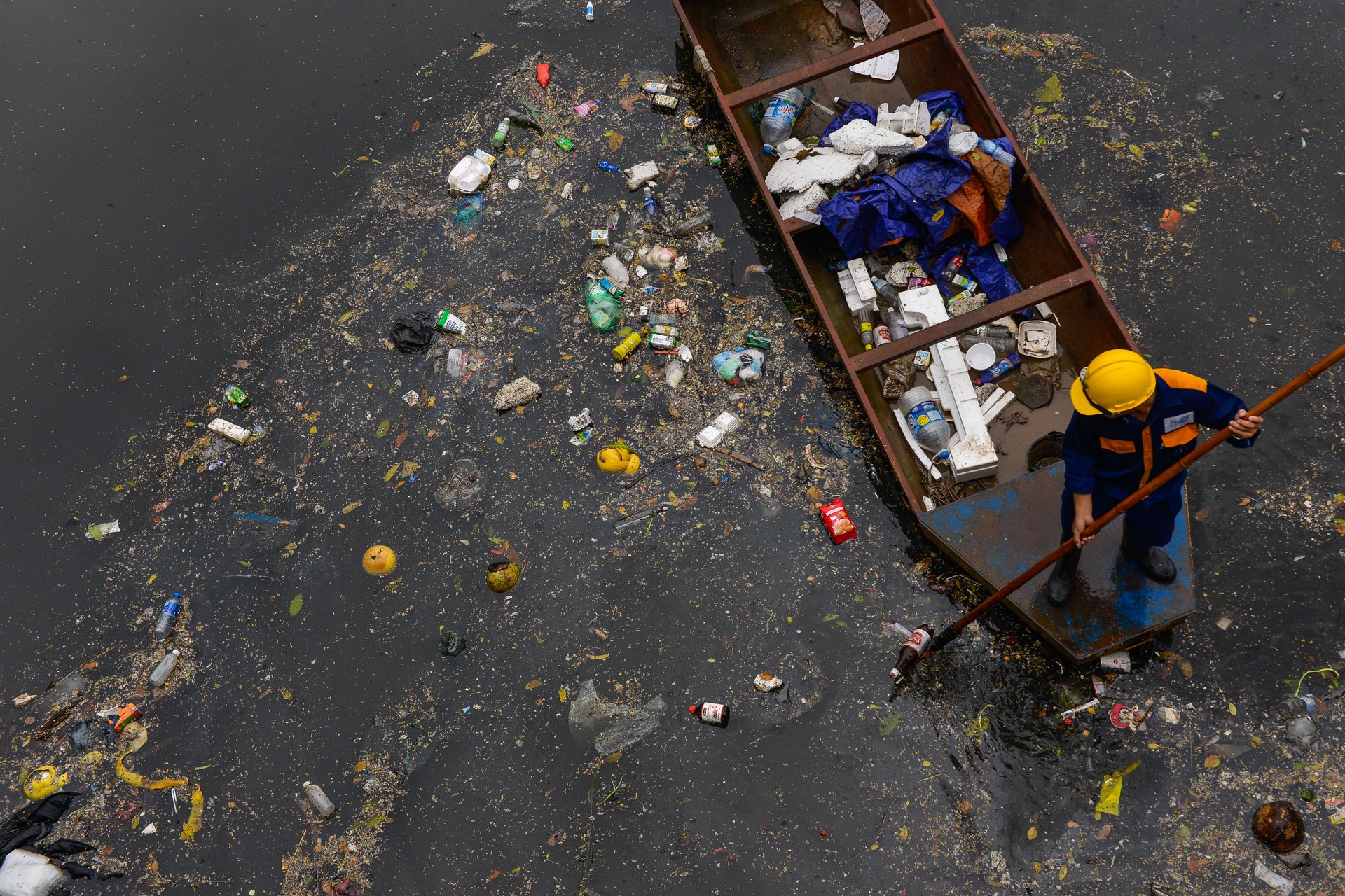 top anh tuan Zing.vn anh 9