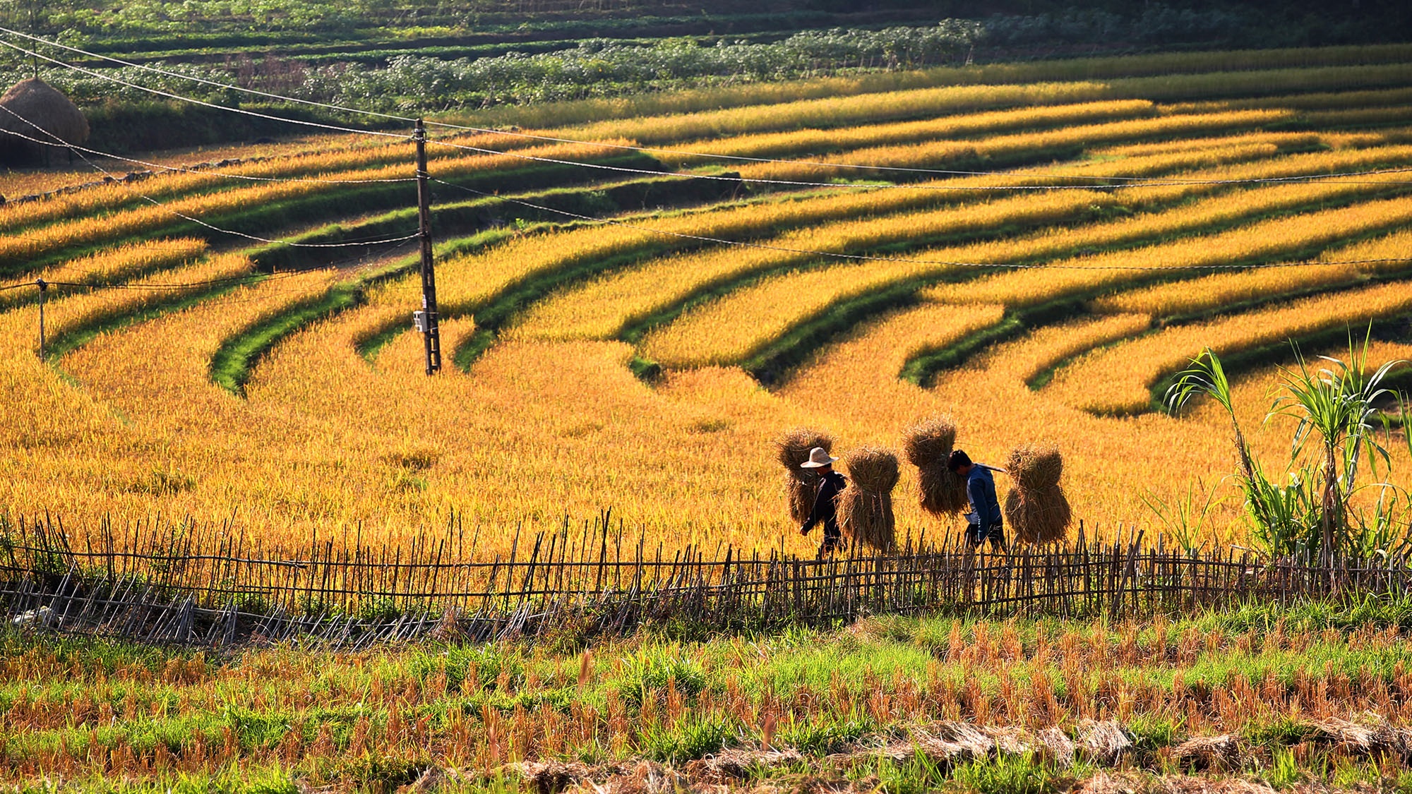 Binh Lieu la diem du lich dep o Quang Ninh anh 10