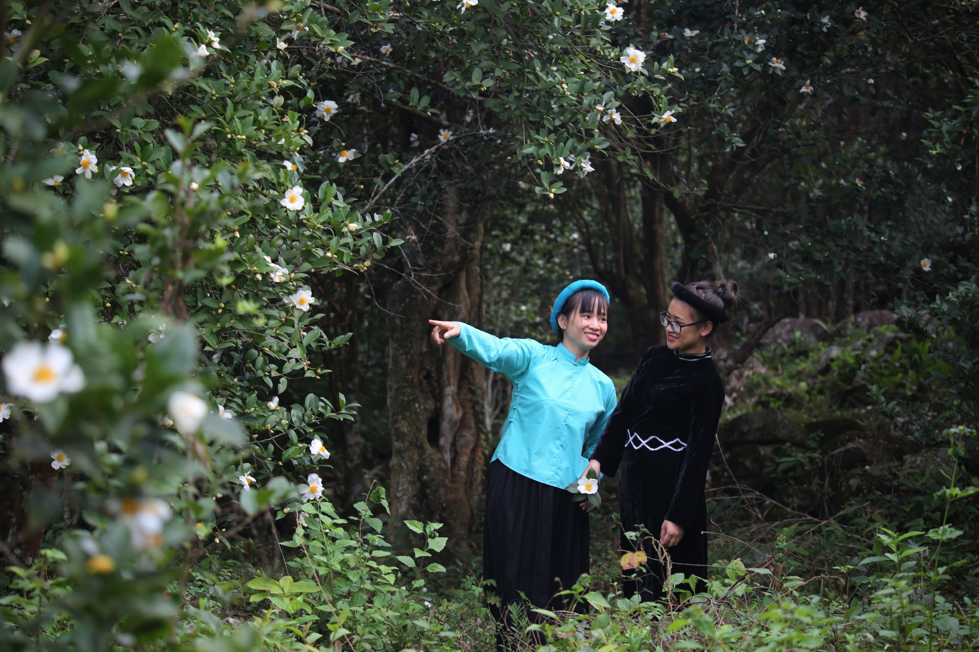 Binh Lieu la diem du lich dep o Quang Ninh anh 4