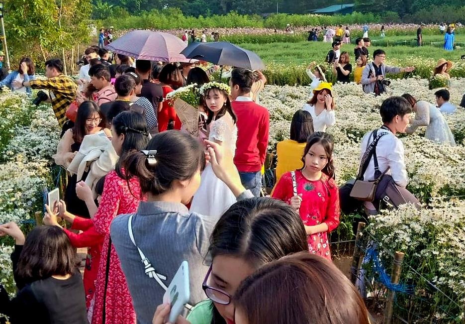 Dong nguoi do xo den vuon cuc hoa mi chup anh hinh anh