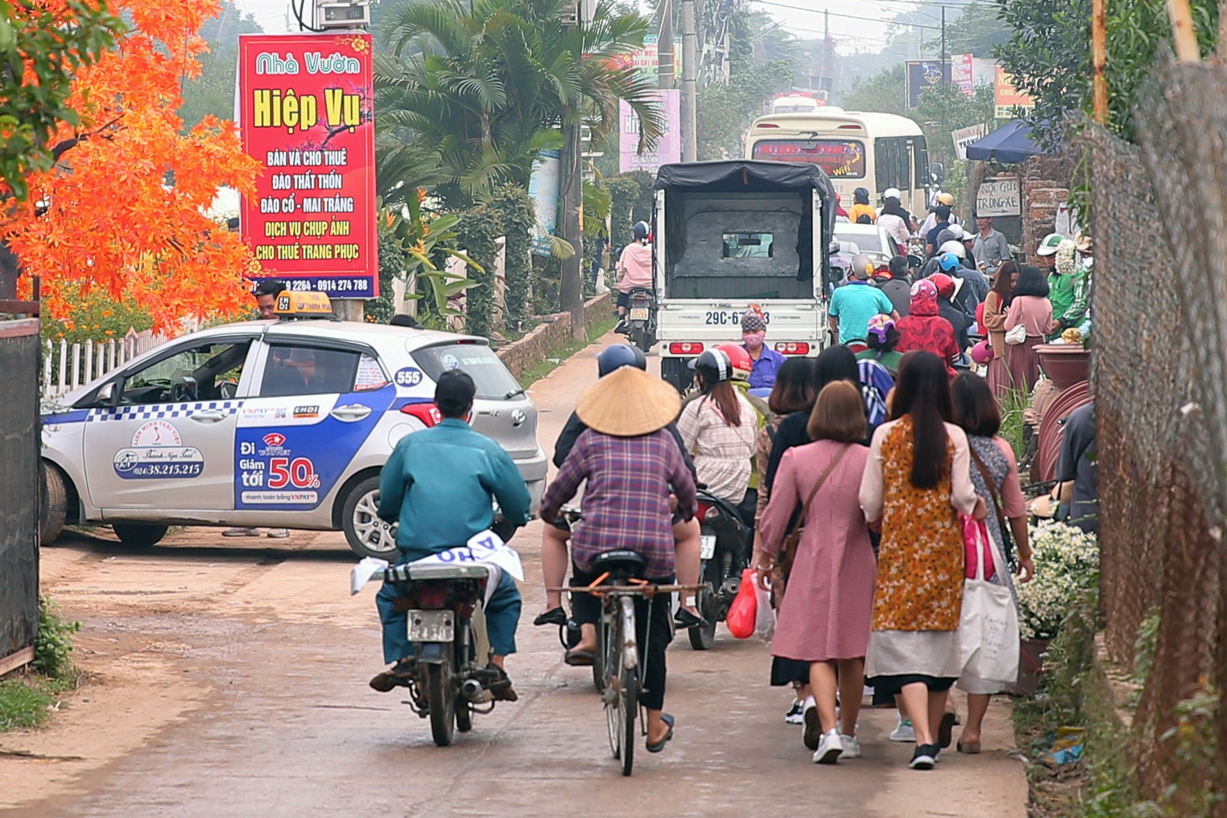 do xo chup anh cuc hoa mi anh 1