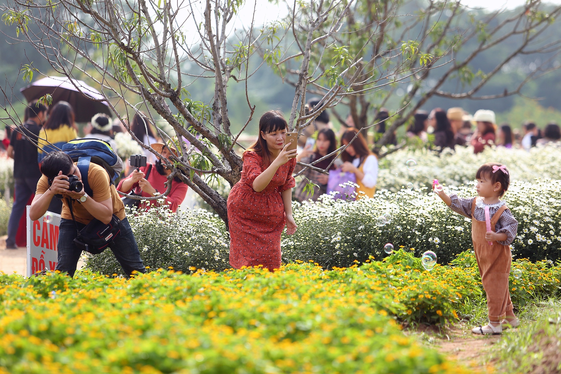 do xo chup anh cuc hoa mi anh 11