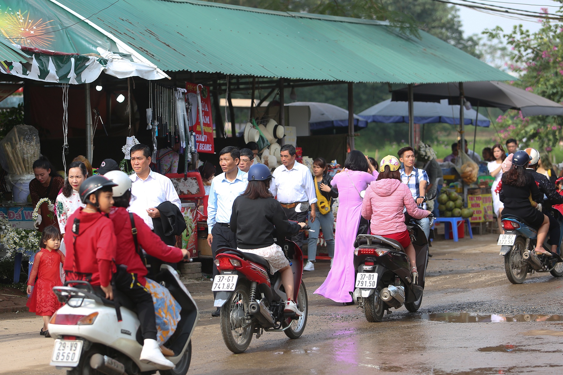 do xo chup anh cuc hoa mi anh 13