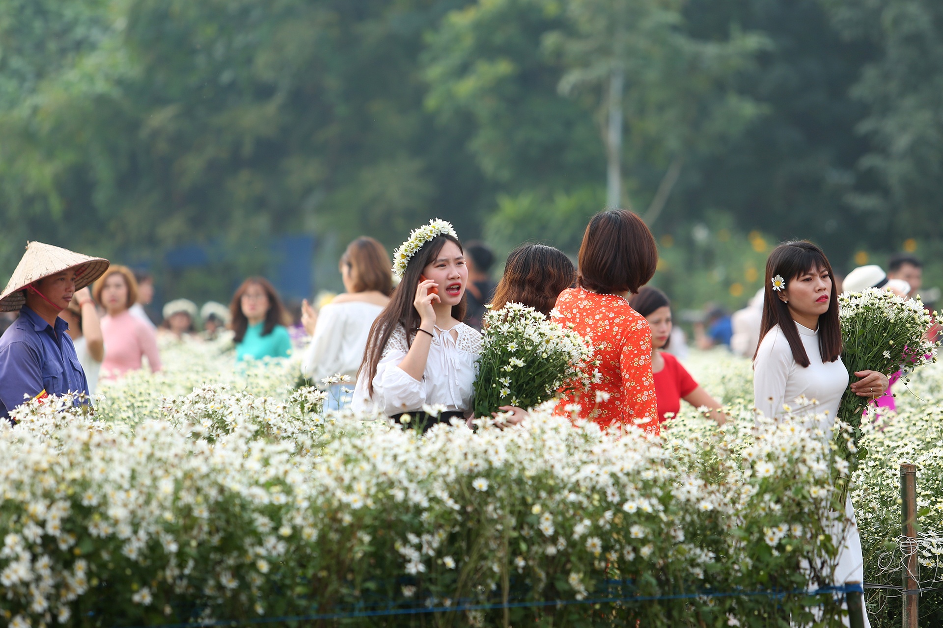 do xo chup anh cuc hoa mi anh 3