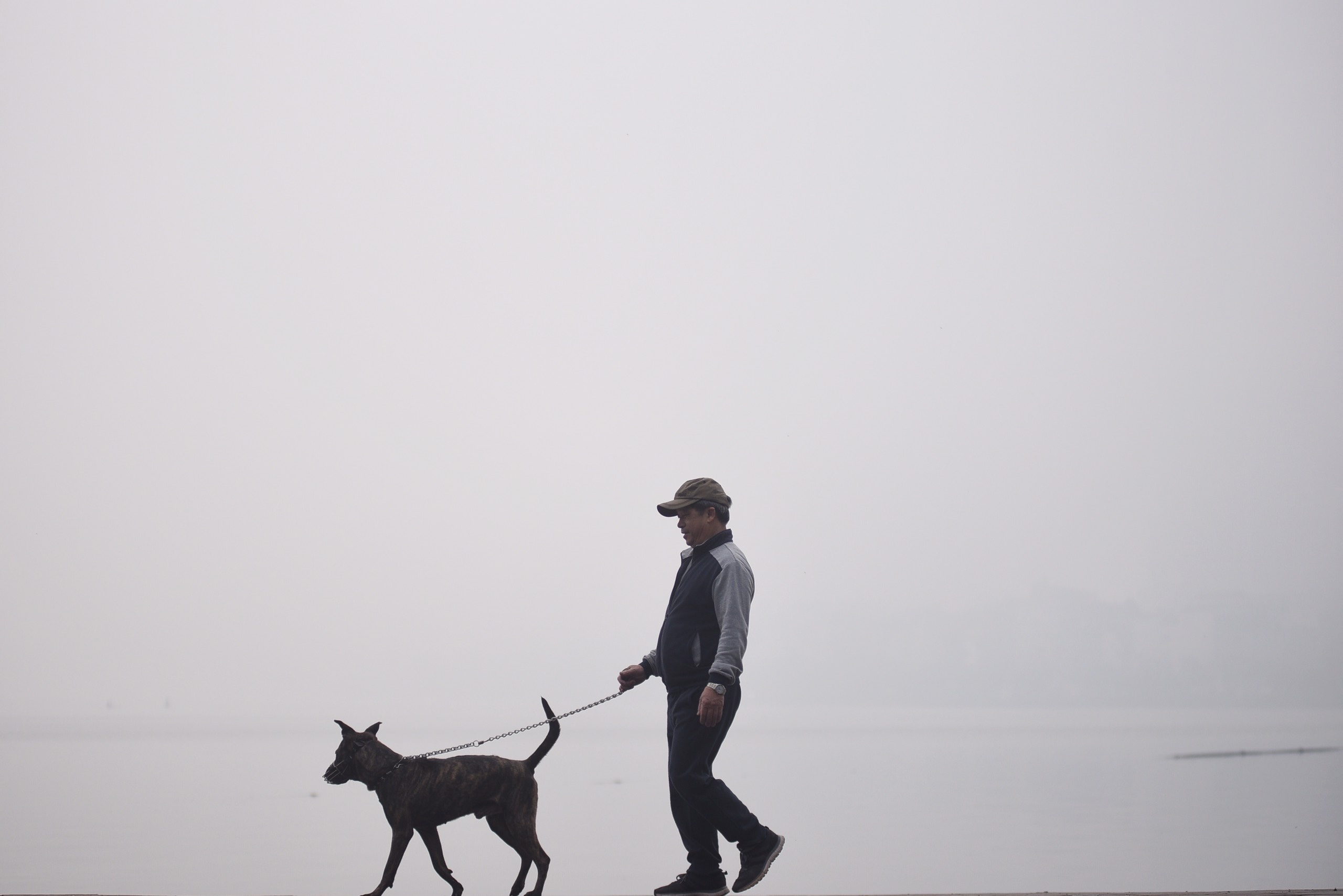 o nhiem nang bao phu thanh pho anh 4