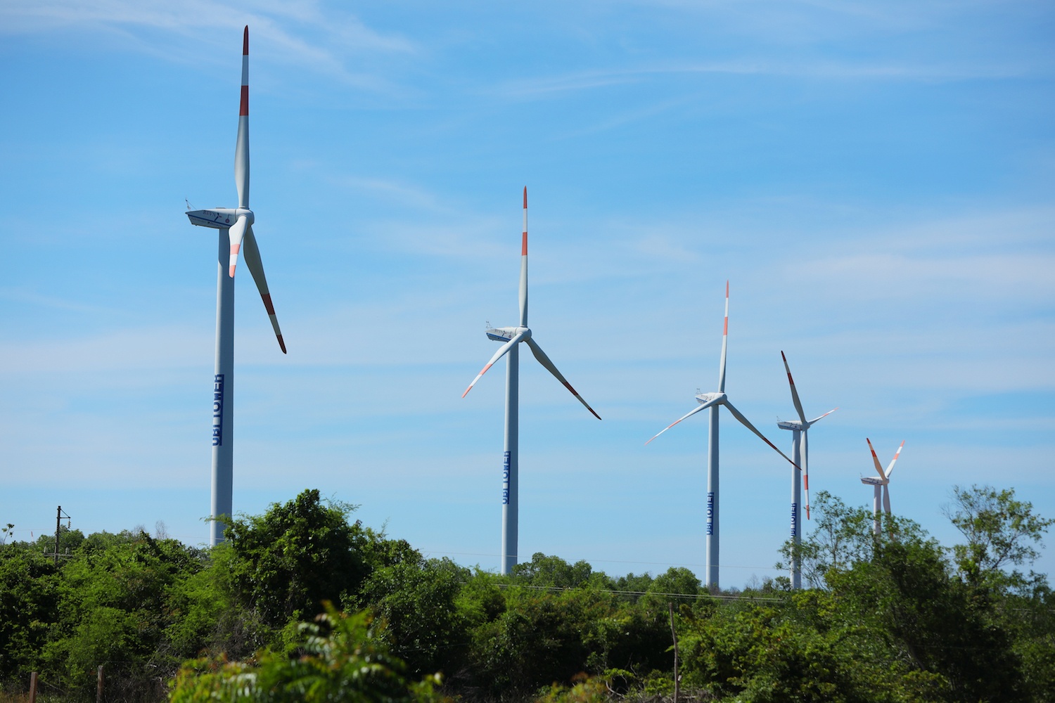 Du lich Binh Thuan anh 21