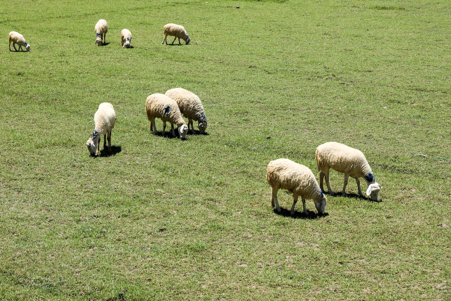 Du lich Binh Thuan anh 11