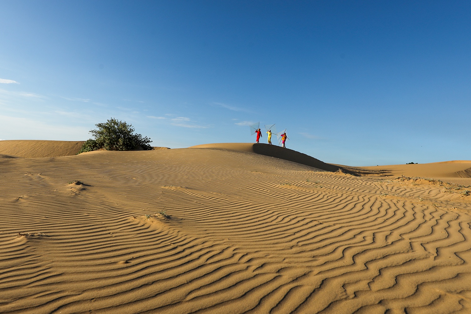 Du lich Binh Thuan anh 3