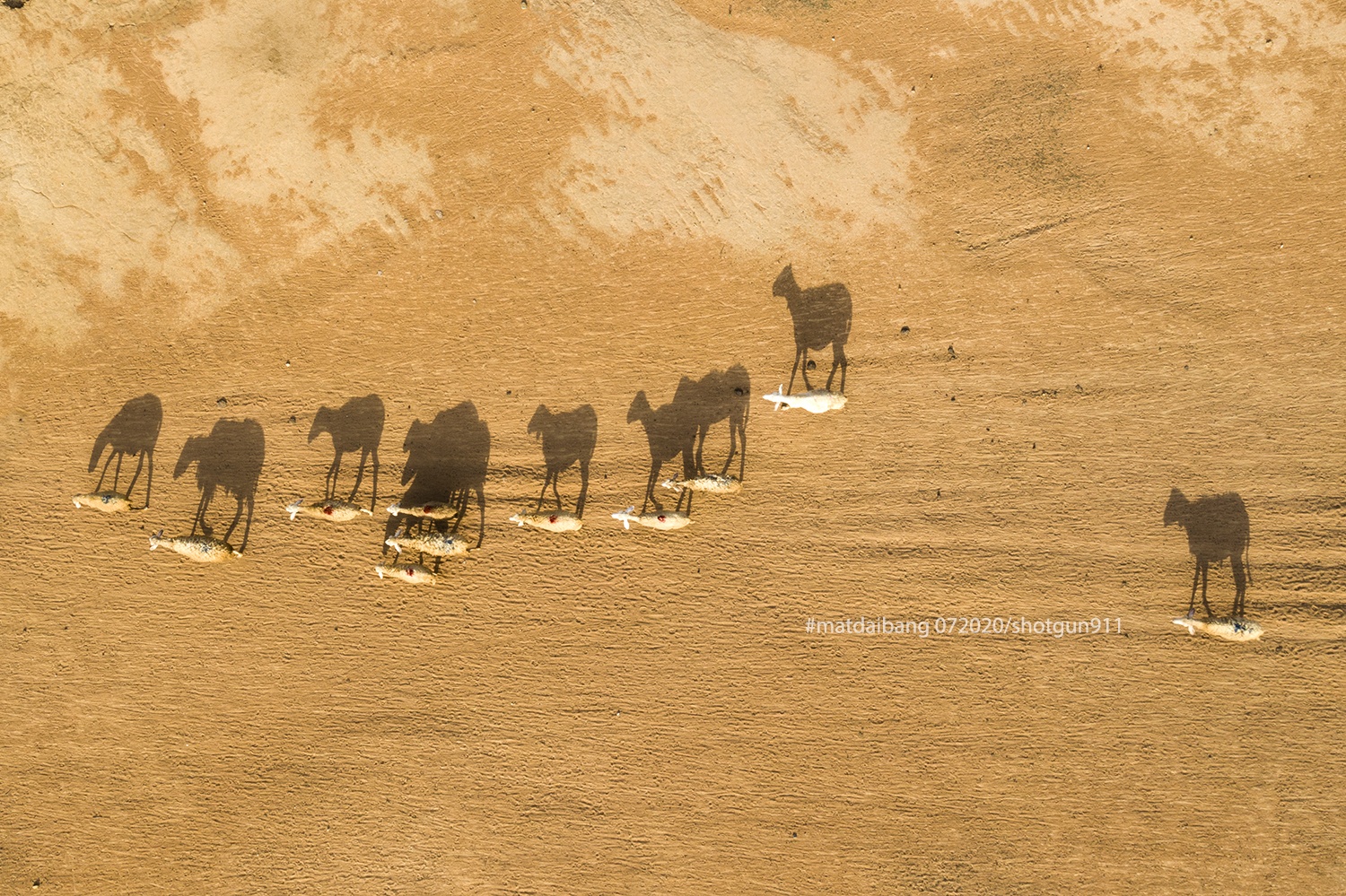 Du lich Binh Thuan anh 8