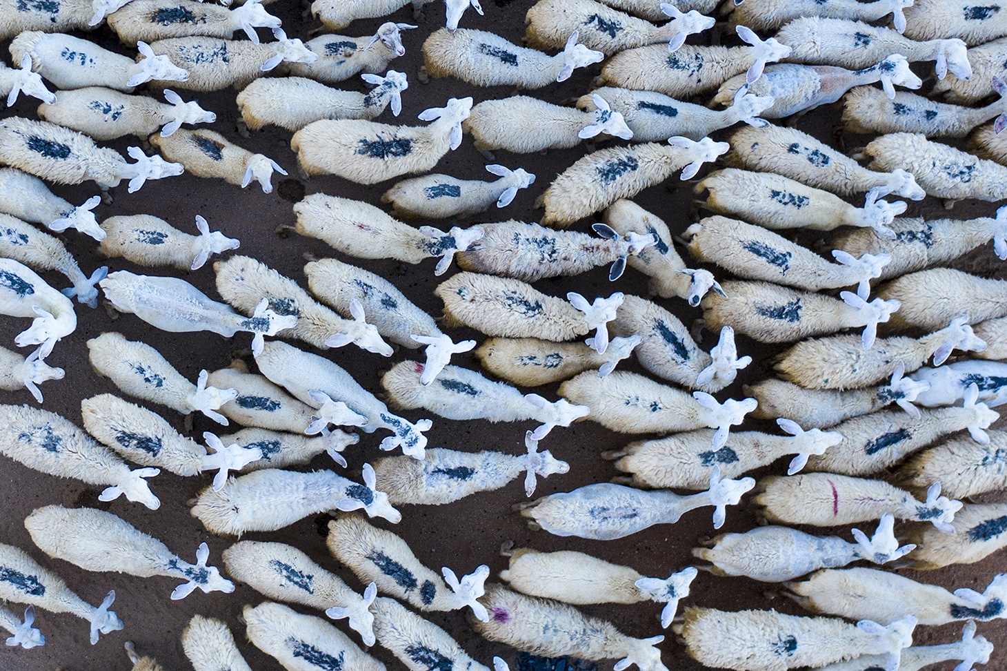 Du lich Binh Thuan anh 10