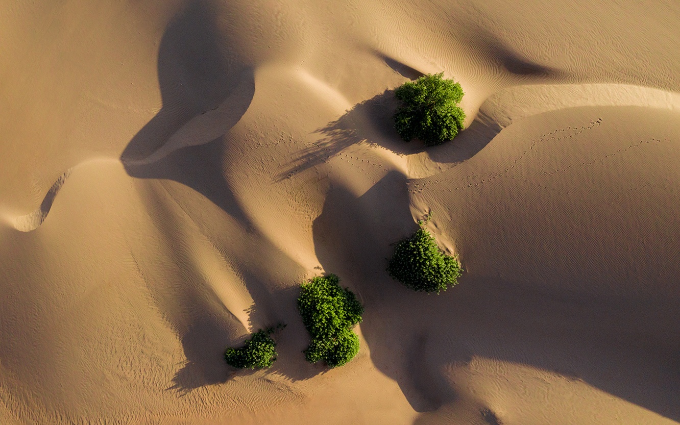 Du lich Binh Thuan anh 7