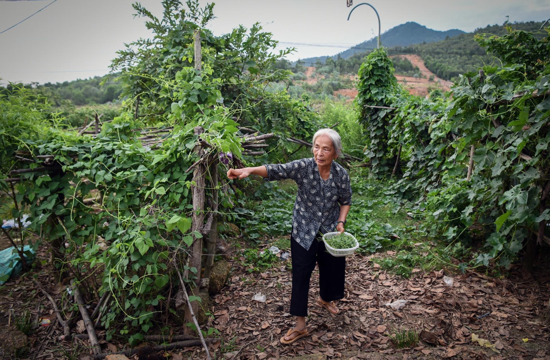 phong su anh tren Zing anh 25