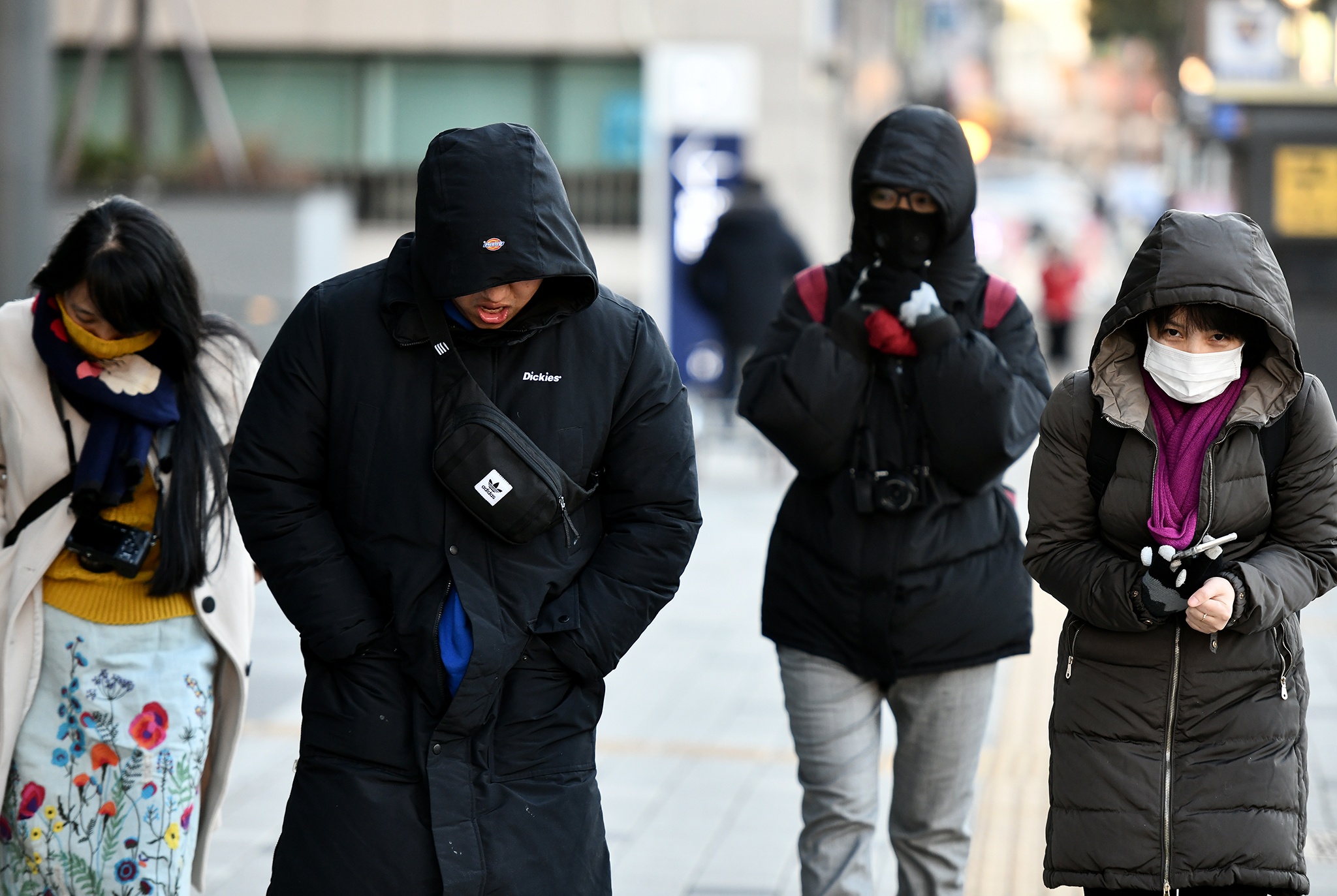 du lich truot tuyet Han Quoc o Gangwon anh 4