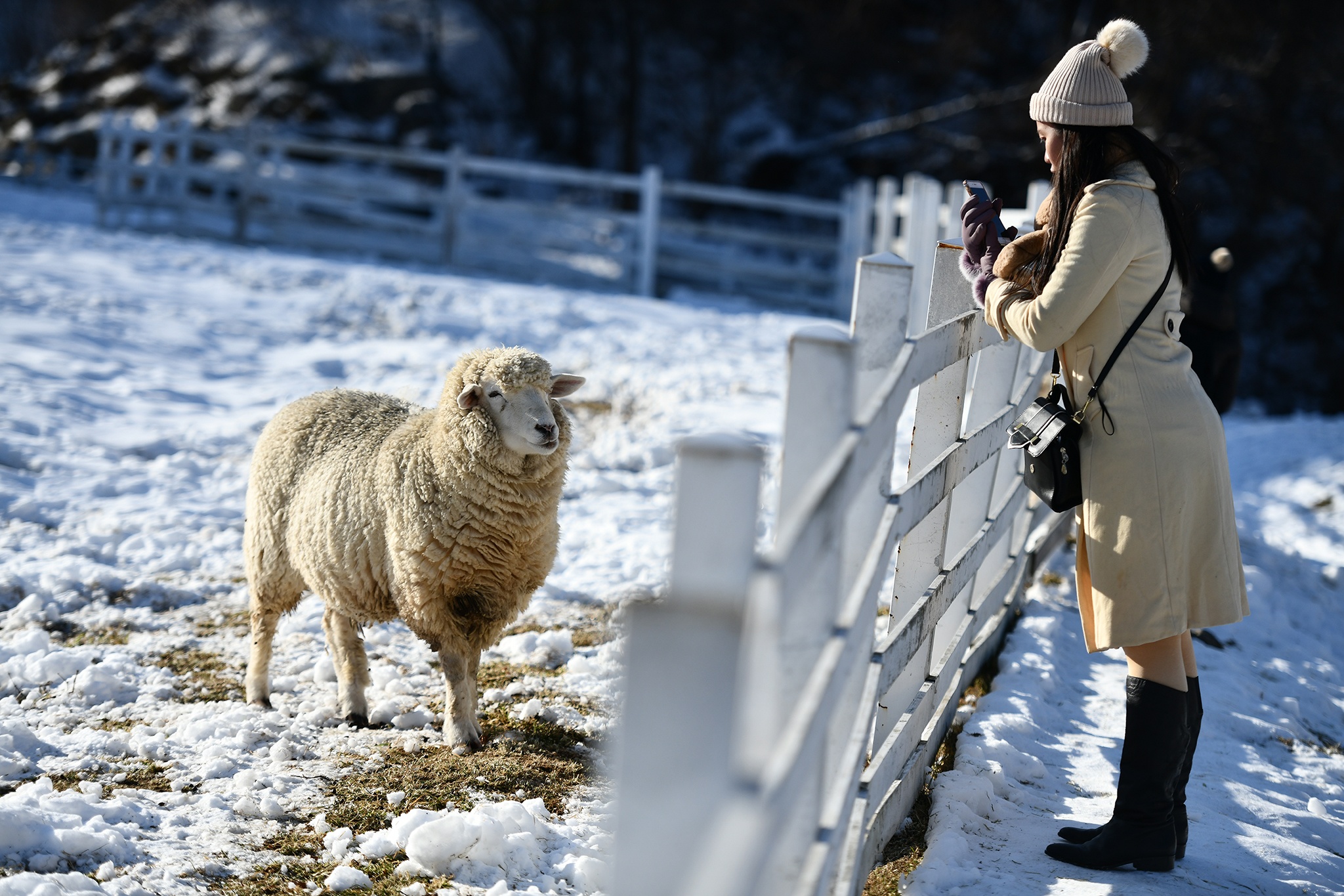 du lich truot tuyet Han Quoc o Gangwon anh 31