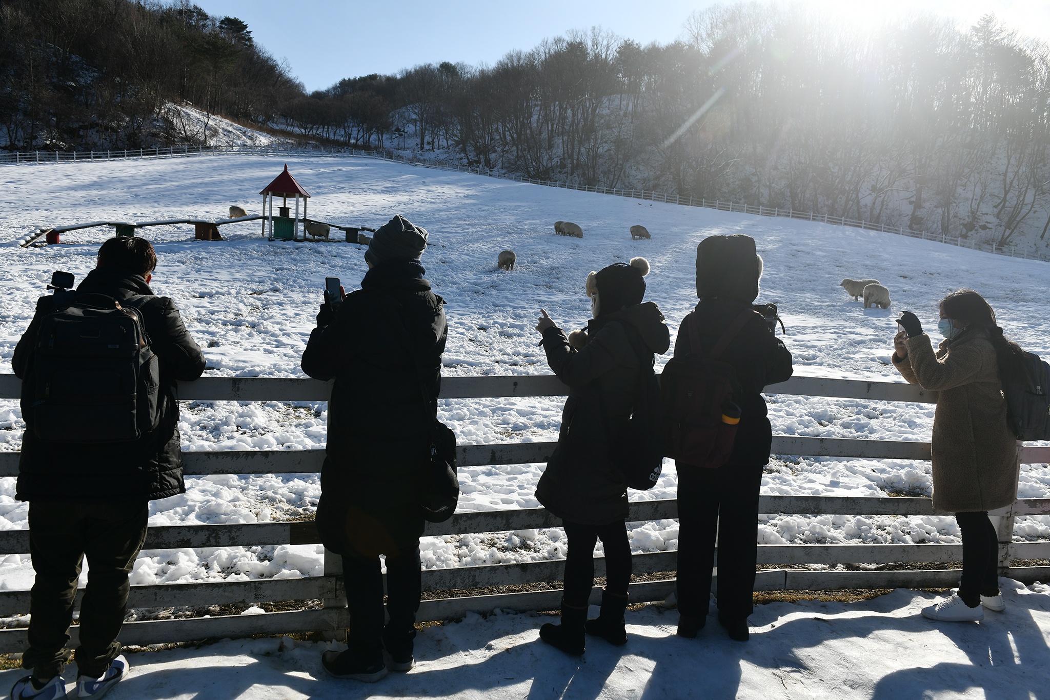 du lich truot tuyet Han Quoc o Gangwon anh 34