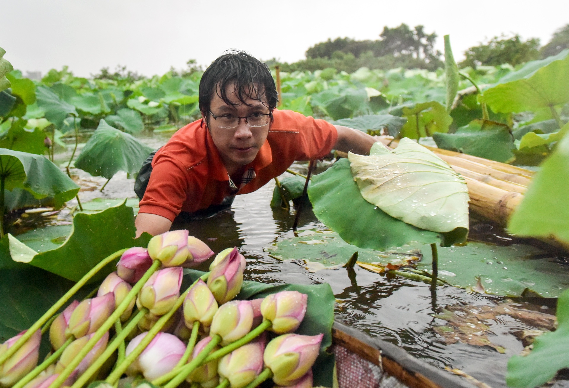 phong su anh tren Zing anh 38