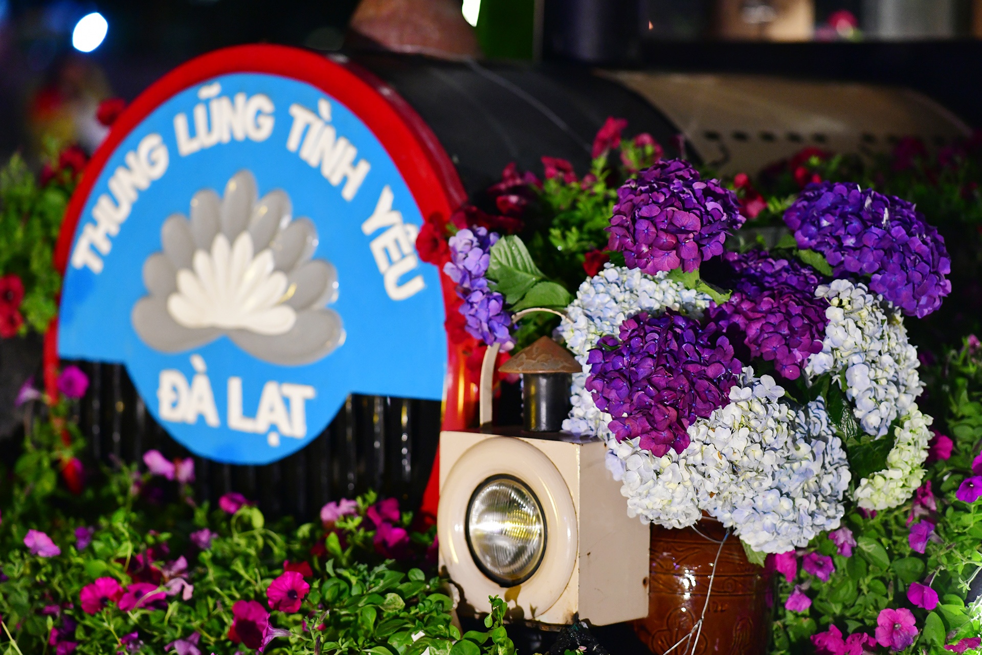 Festival hoa Da Lat 2019 anh 38