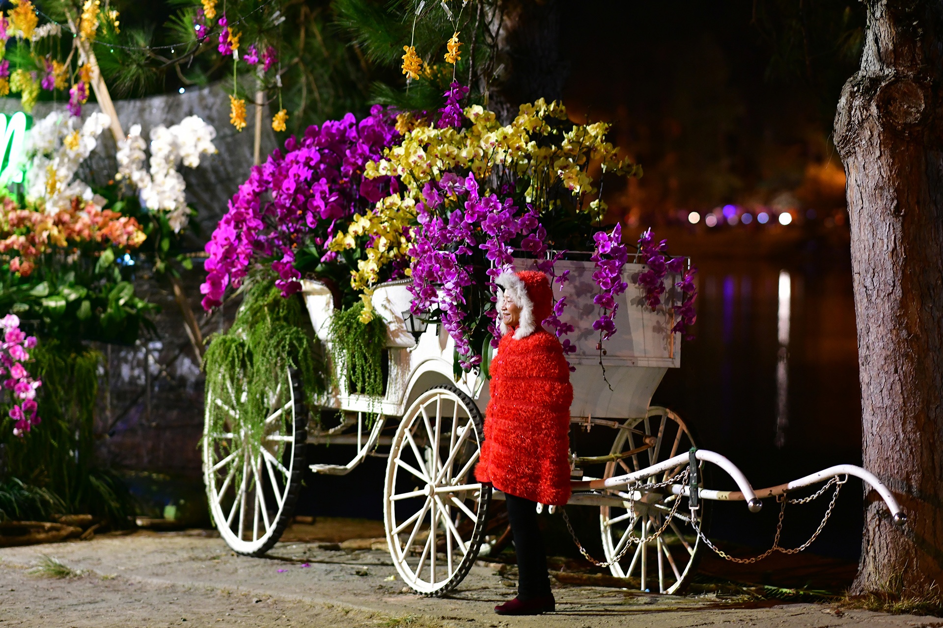 Festival hoa Da Lat 2019 anh 43