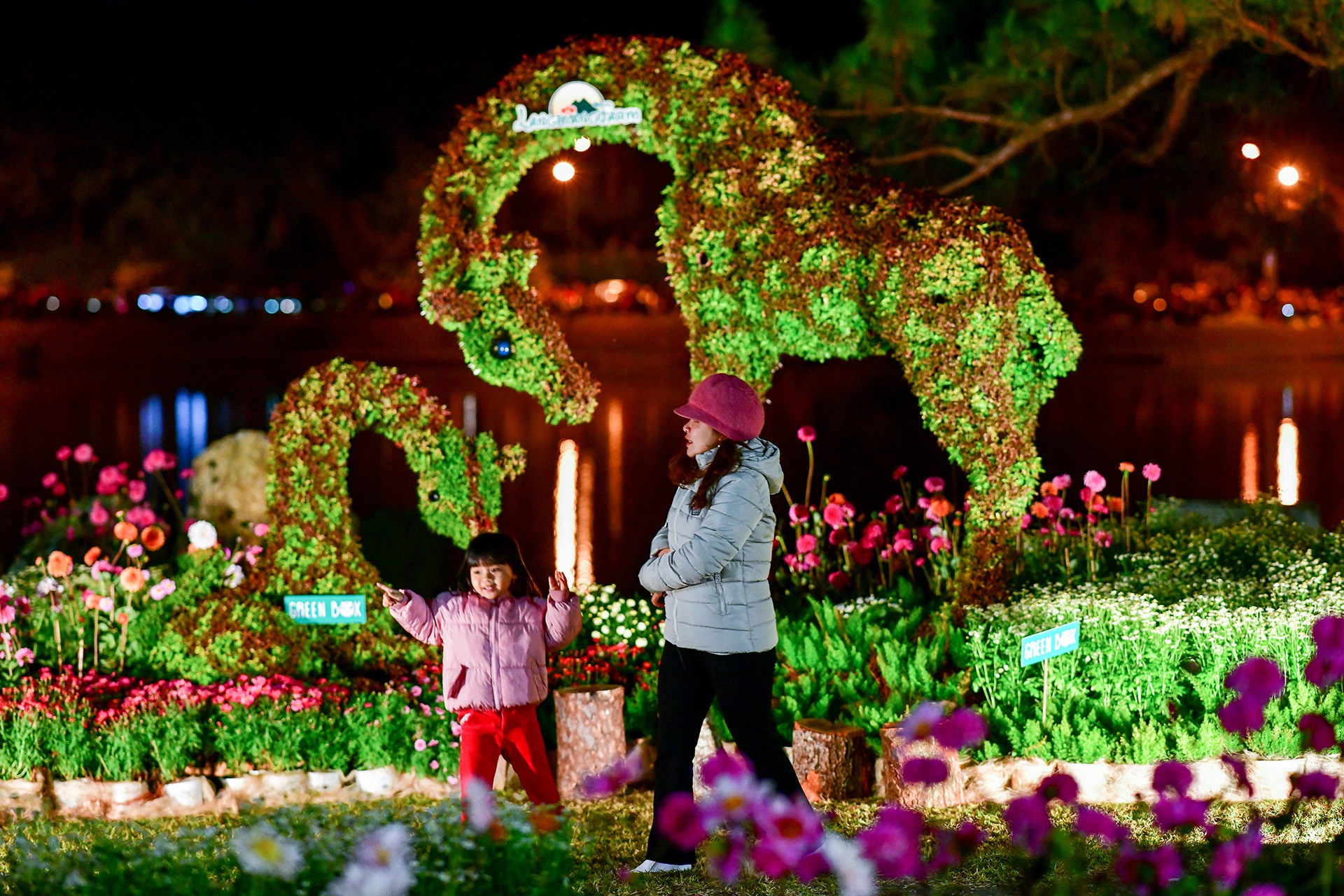 Festival hoa Da Lat 2019 anh 49