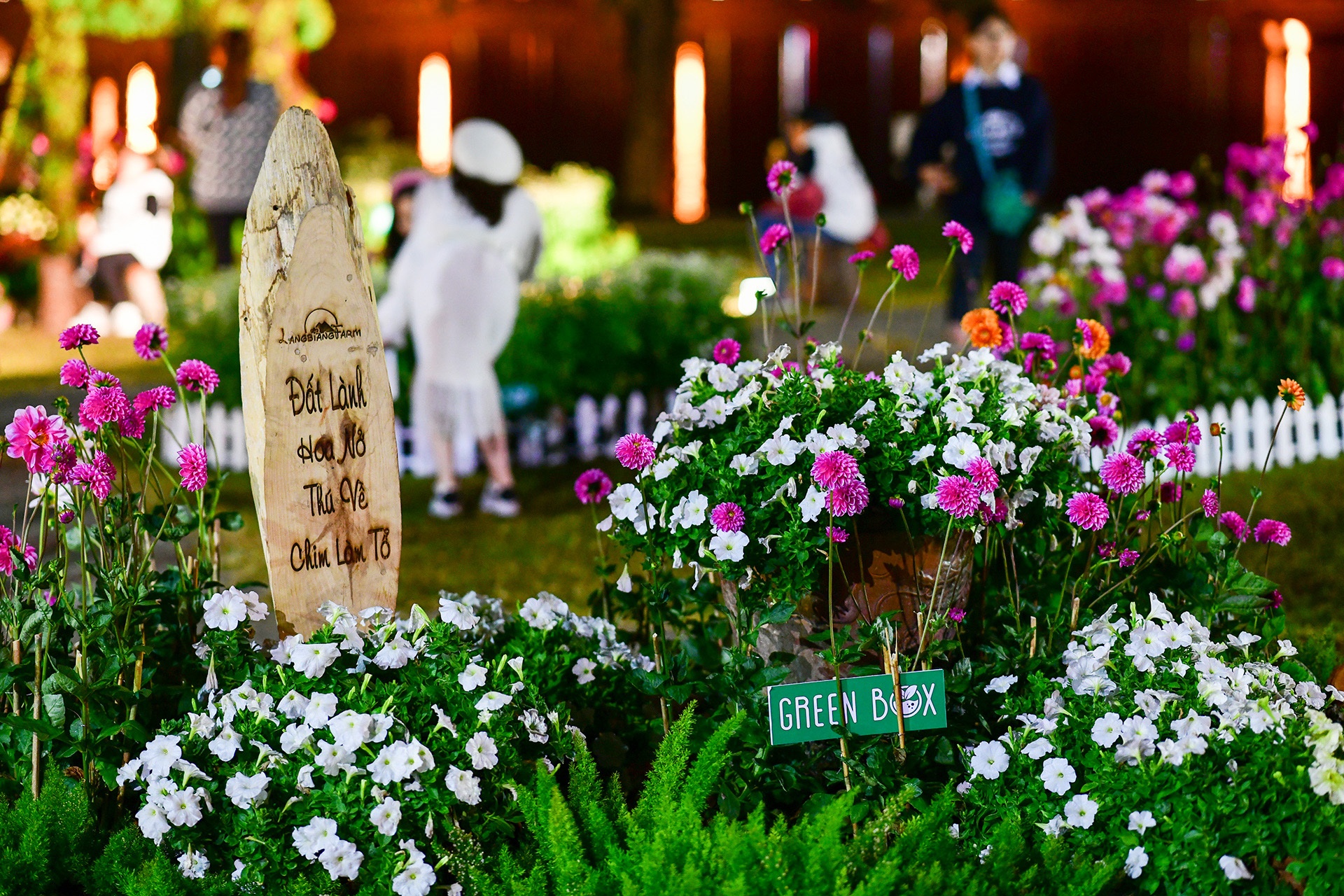 Festival hoa Da Lat 2019 anh 51