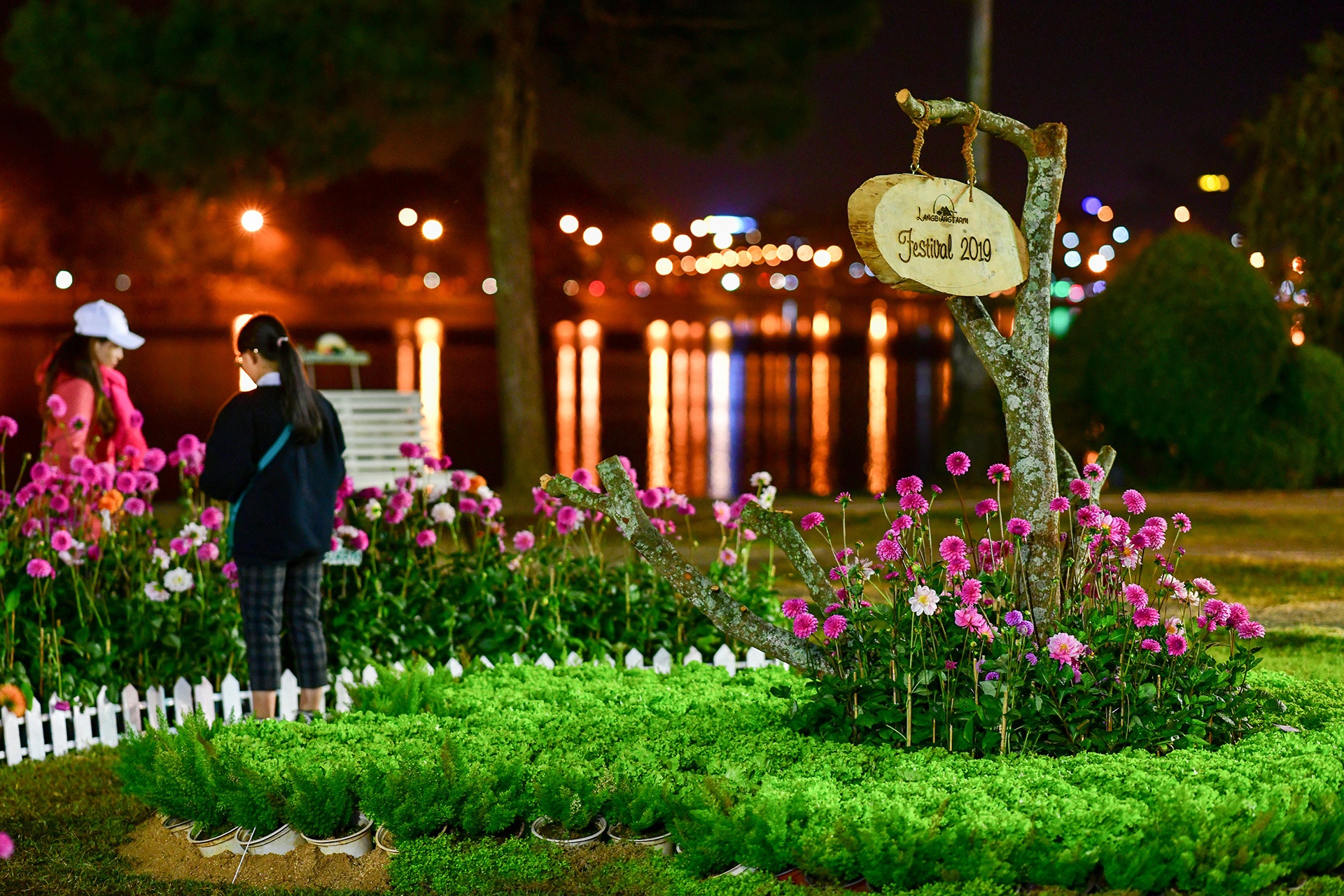 Festival hoa Da Lat 2019 anh 53