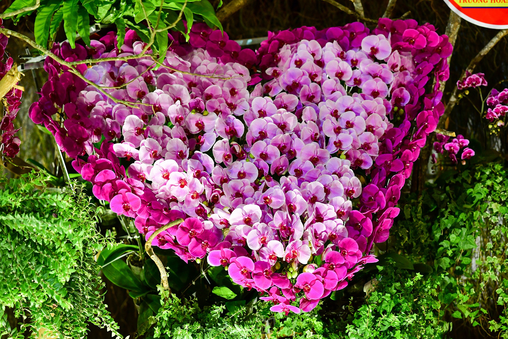 Festival hoa Da Lat 2019 anh 55