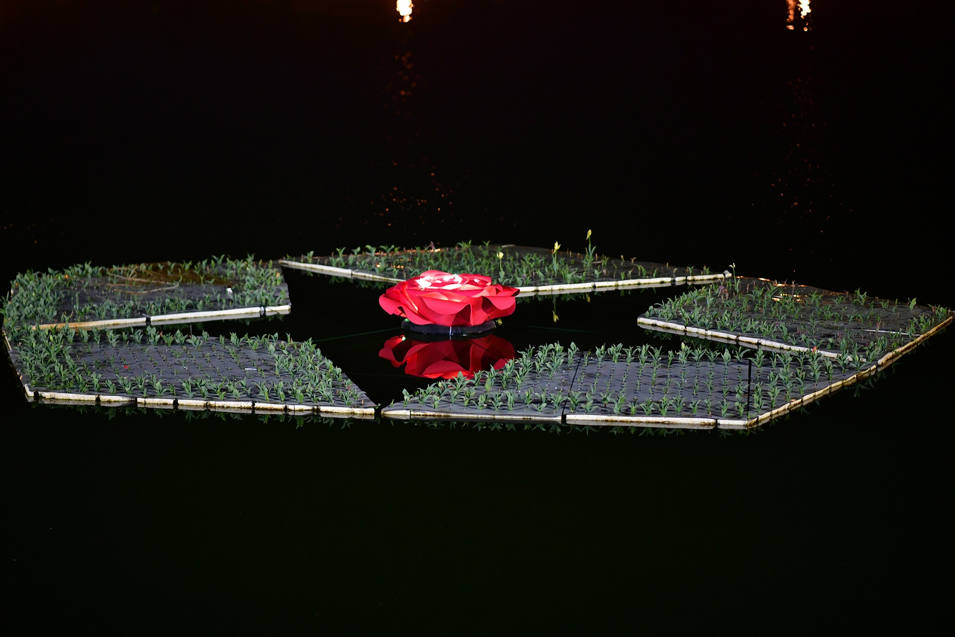 Festival hoa Da Lat 2019 anh 28