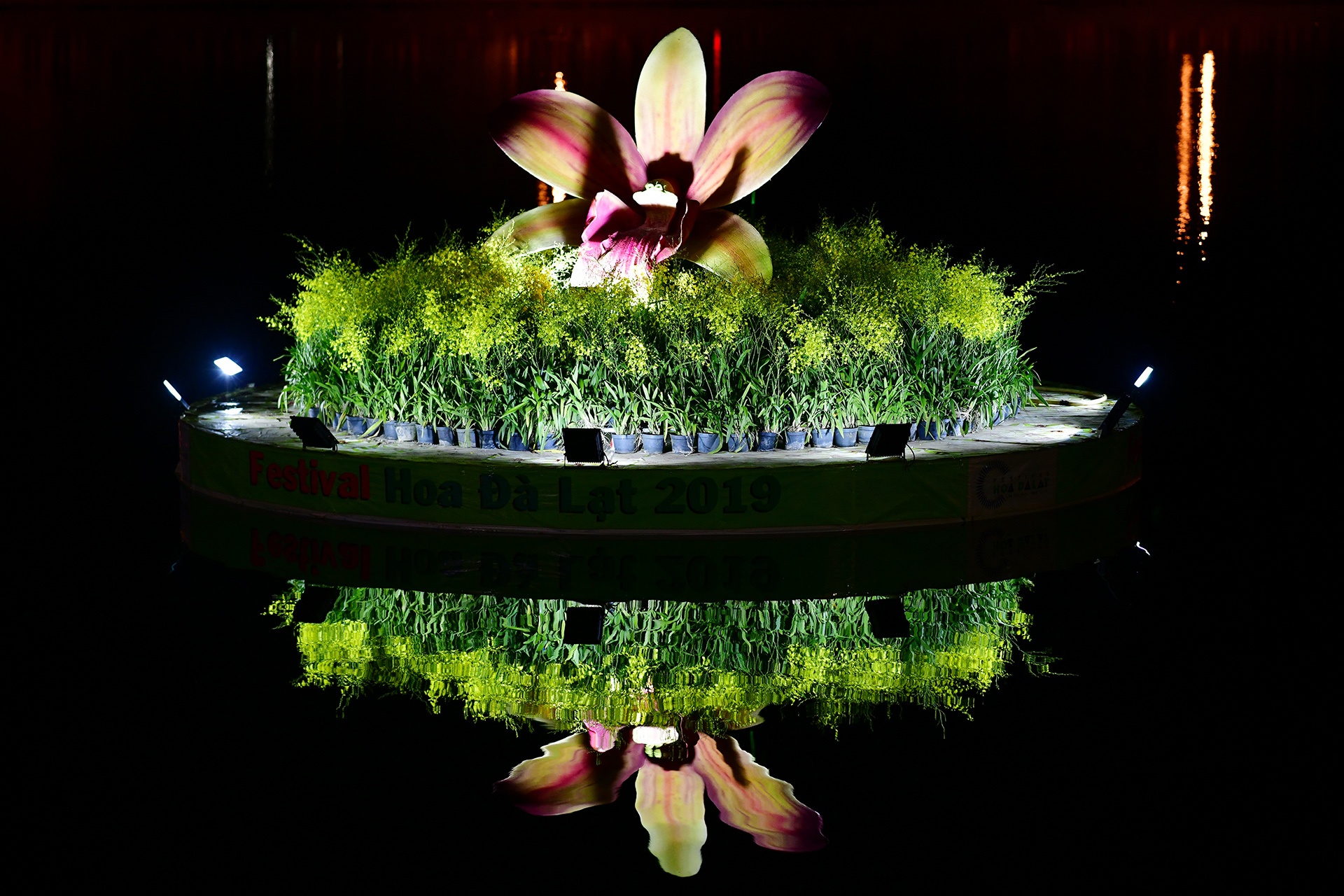 Festival hoa Da Lat 2019 anh 32