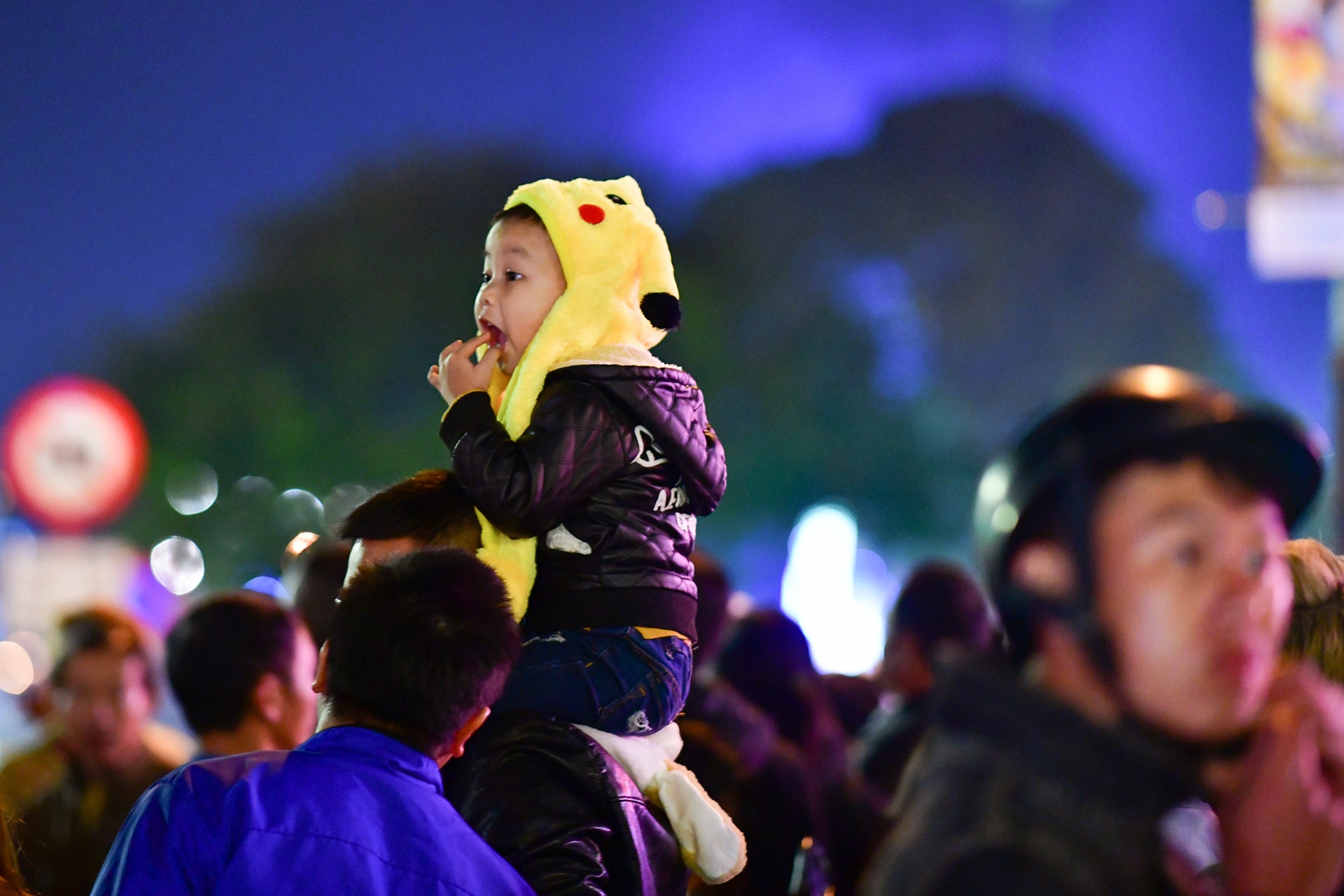 Festival hoa Da Lat 2019 anh 10