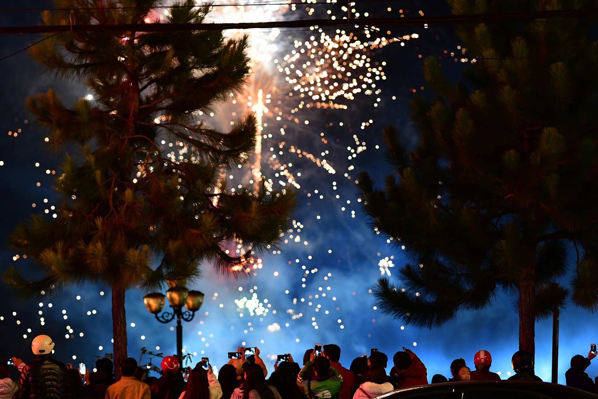 Festival hoa Da Lat 2019 anh 17