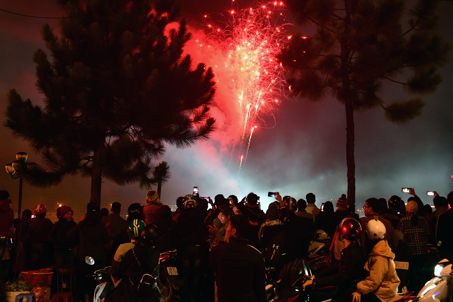 Festival hoa Da Lat 2019 anh 18