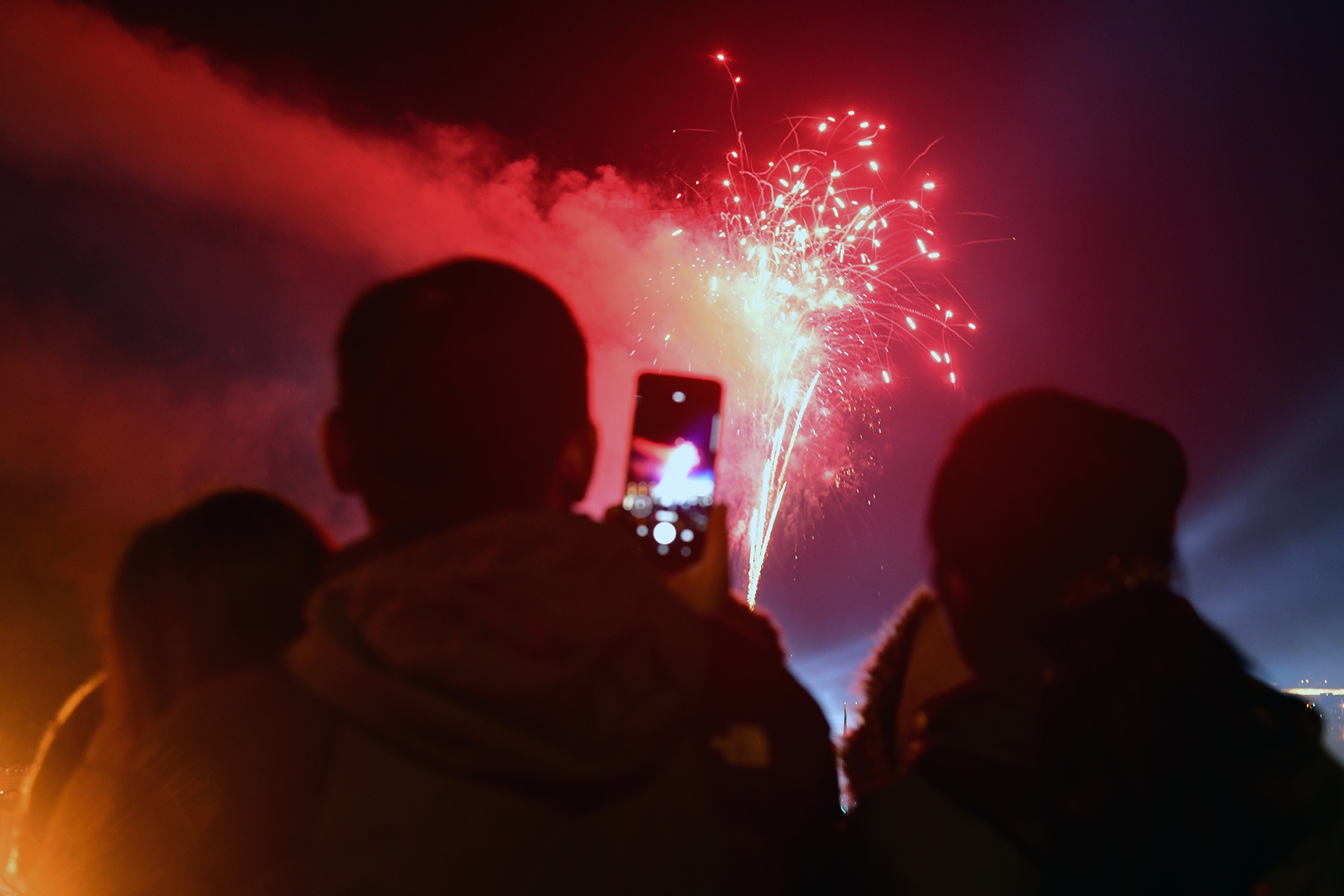 Festival hoa Da Lat 2019 anh 21
