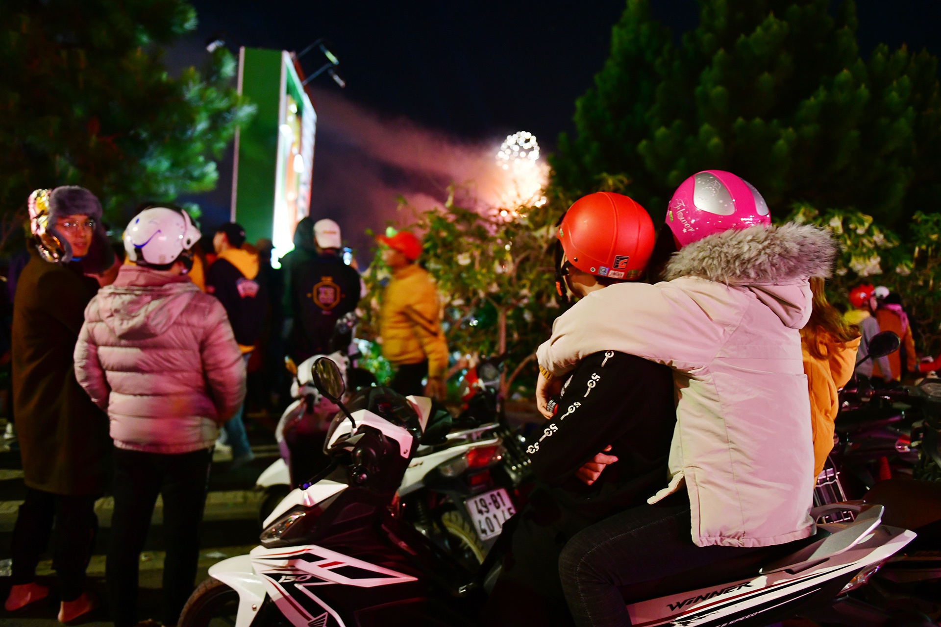 Festival hoa Da Lat 2019 anh 24