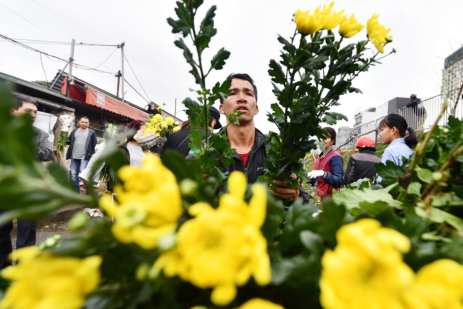 cho hoa phien cuoi nam anh 8