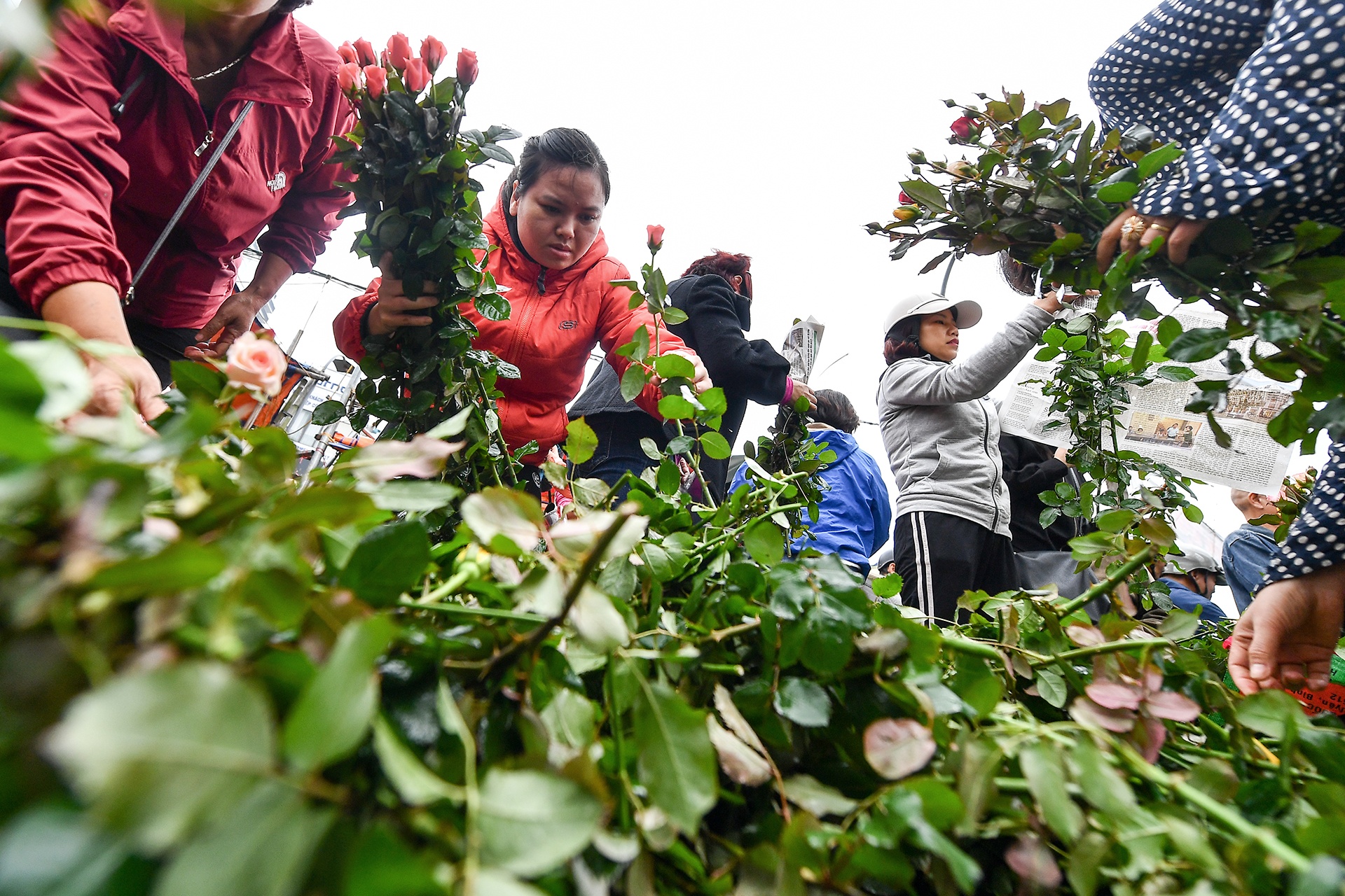 cho hoa phien cuoi nam anh 12