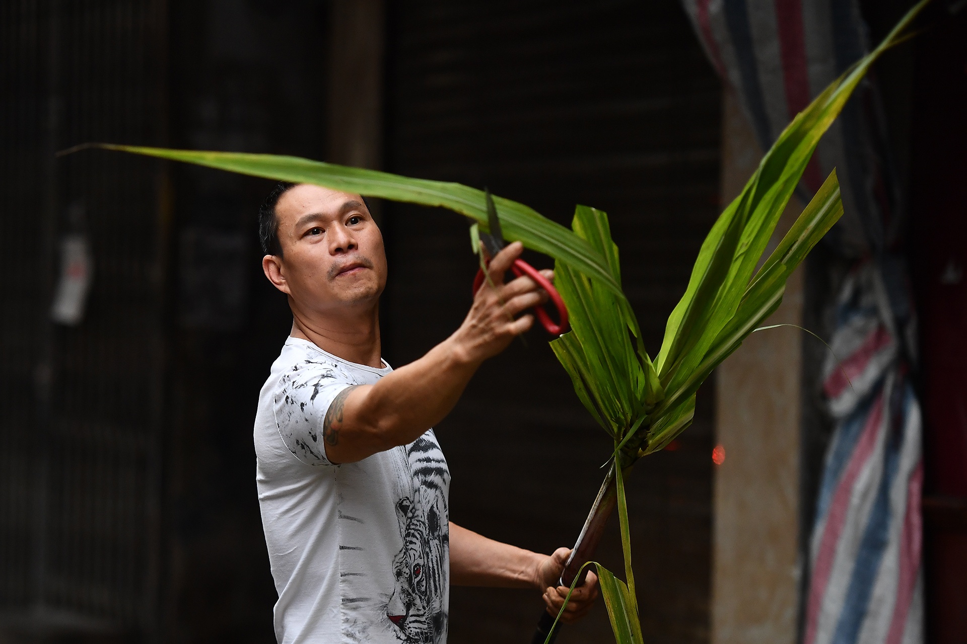 sang mung 1 Tet o Ha Noi anh 2