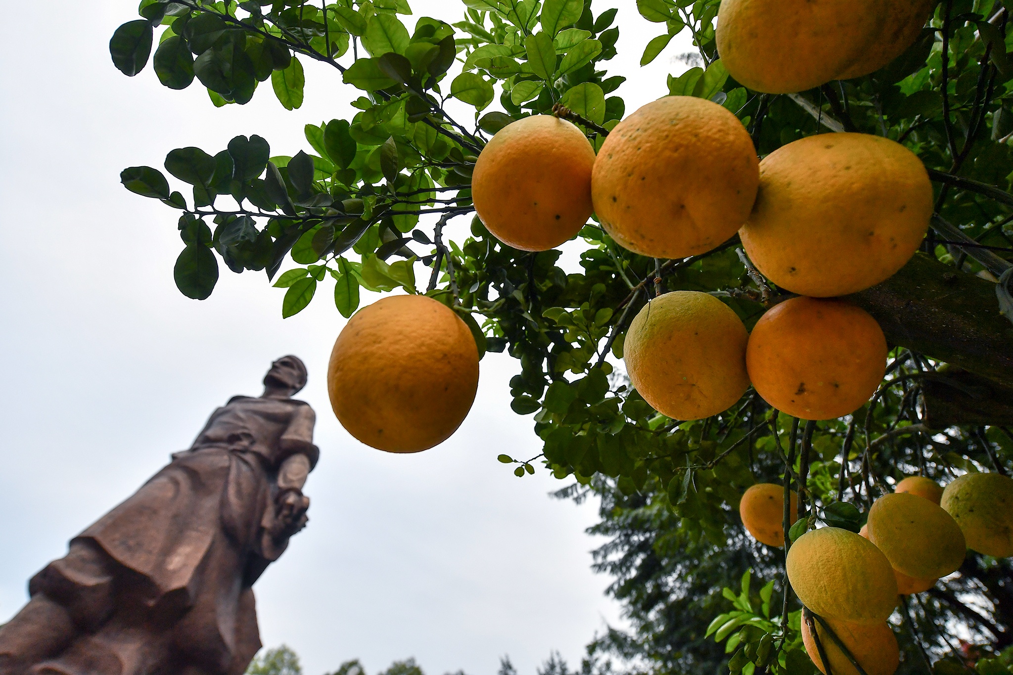 le hoi go Dong Da mung 5 Tet anh 1