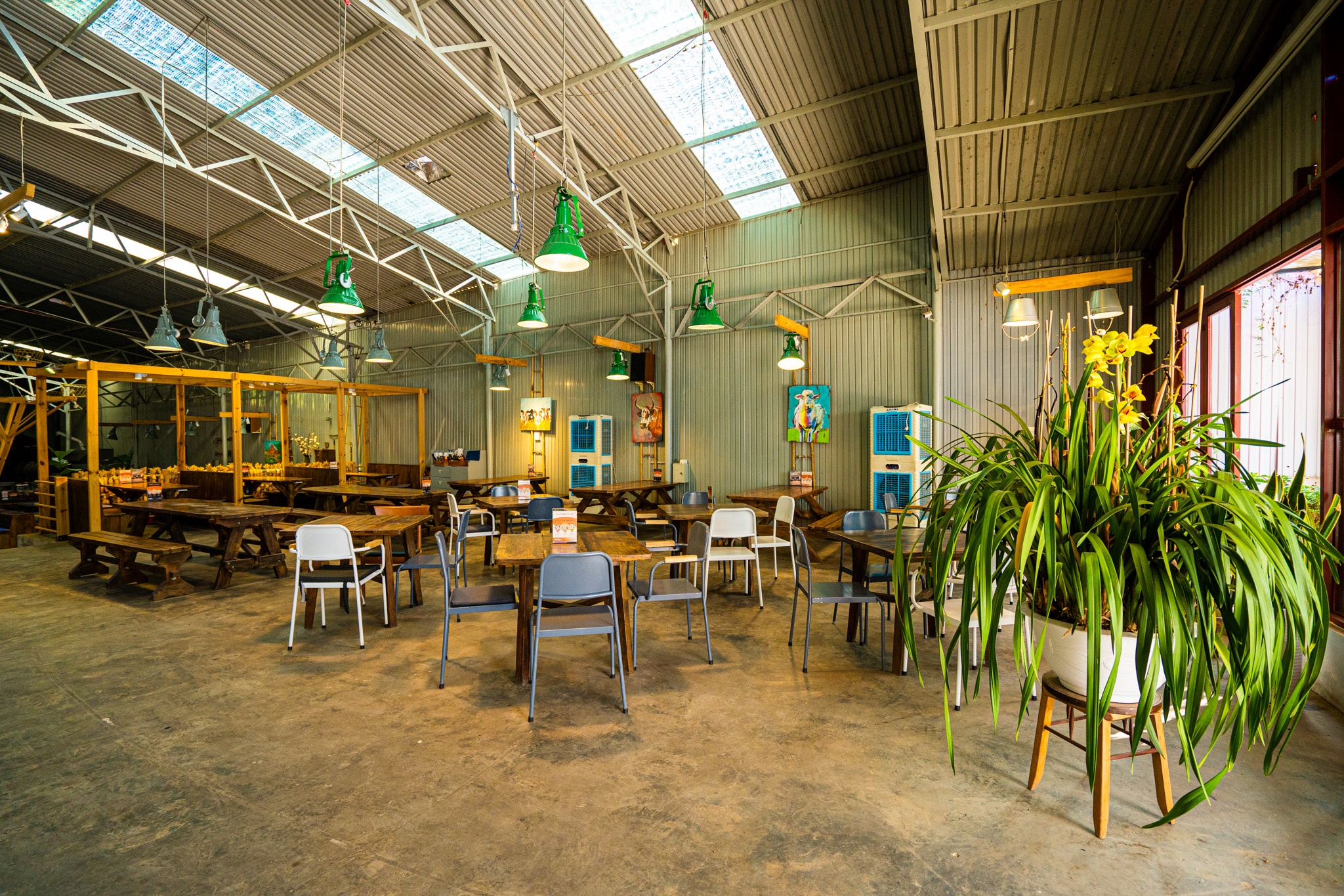 cac quan cafe dep o Da Lat anh 17