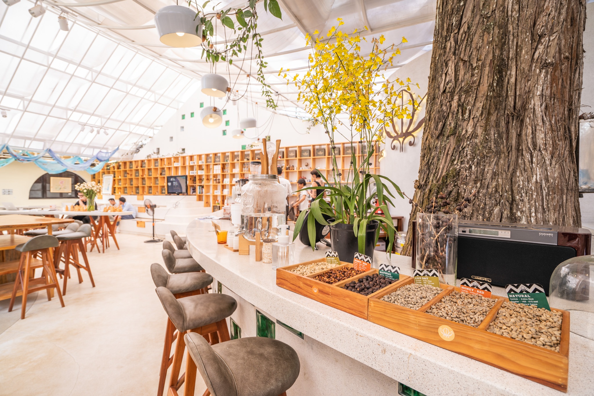 cac quan cafe dep o Da Lat anh 37