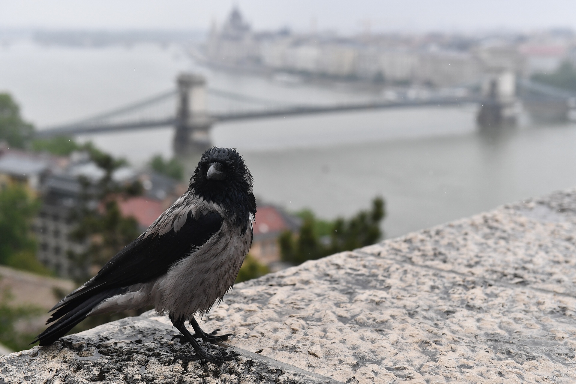 du lich Budapest o Hungary anh 8