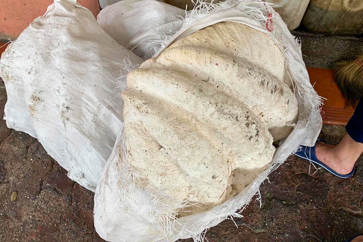 quan pho trung bay cuu long tranh chau lam tu vo so anh 8